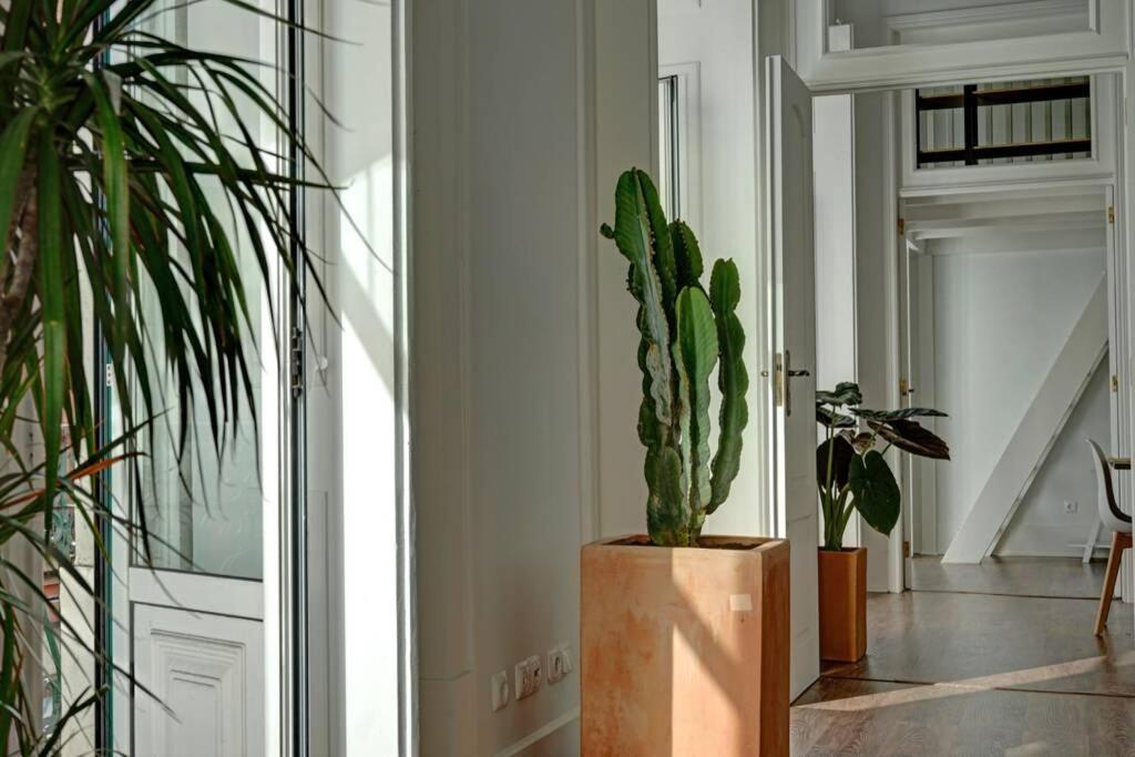 Unique Sao Bento Apartment Ideal For A Group Lisboa Exteriér fotografie